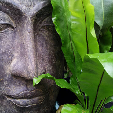 blog de découverte sur histoire et origine de l'ayurveda